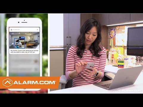 Alarm com Video Analytics: Feature Walkthrough